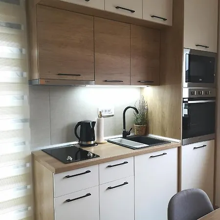 Dina Apartment Zlatibor